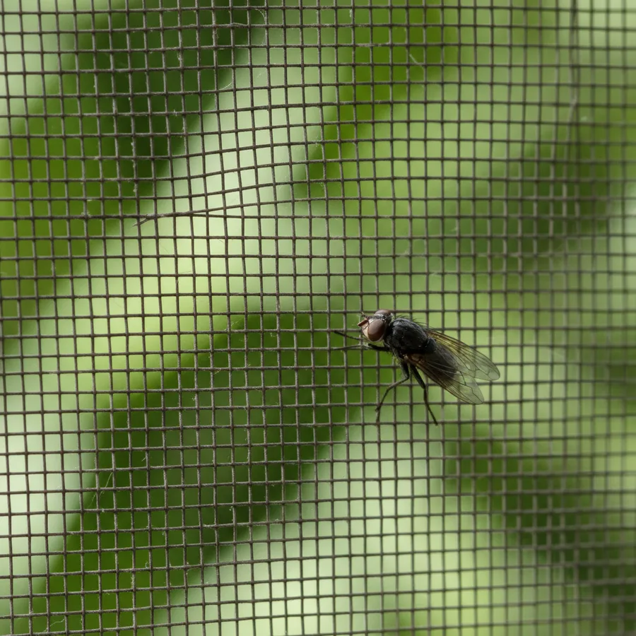 Tejido de fibra de vidrio de mosquitera visto de cerca